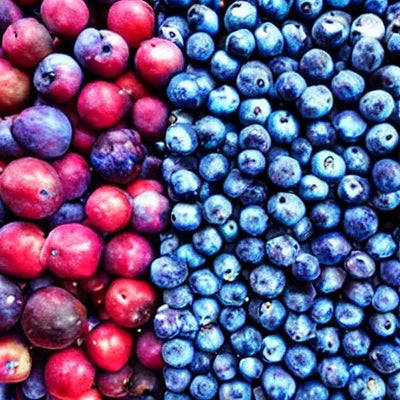 Blue Fruits