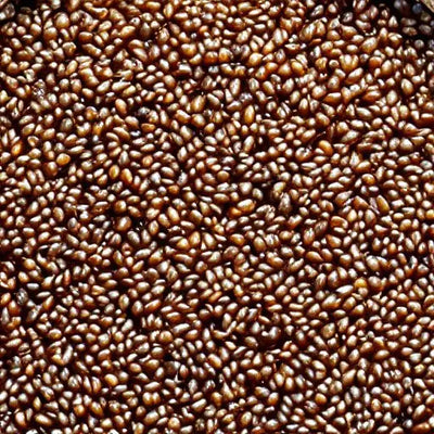Buckwheat Honey