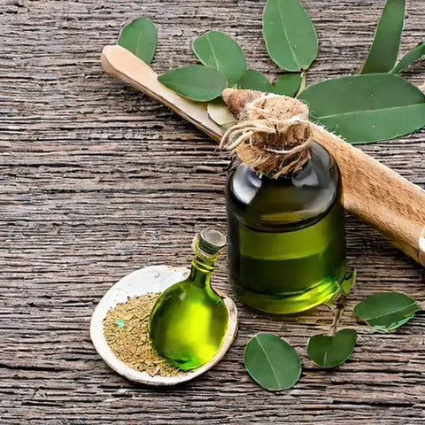 What is Eucalyptus?